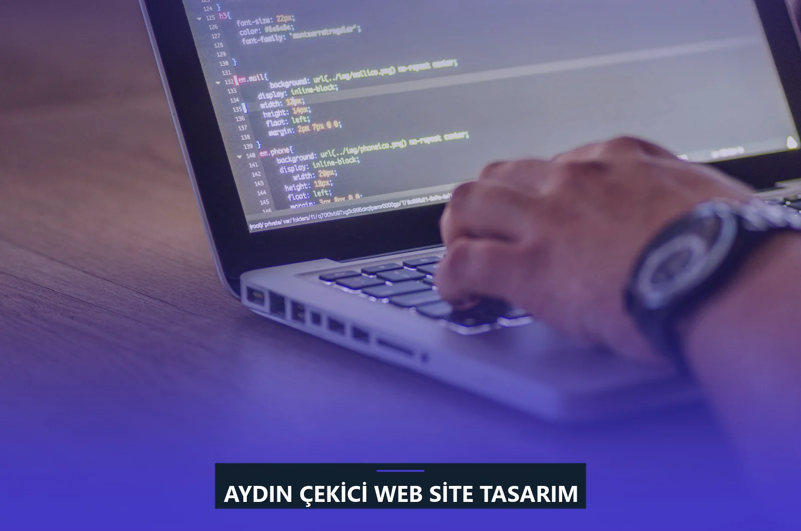 Aydın Çekici Web Site Tasarım