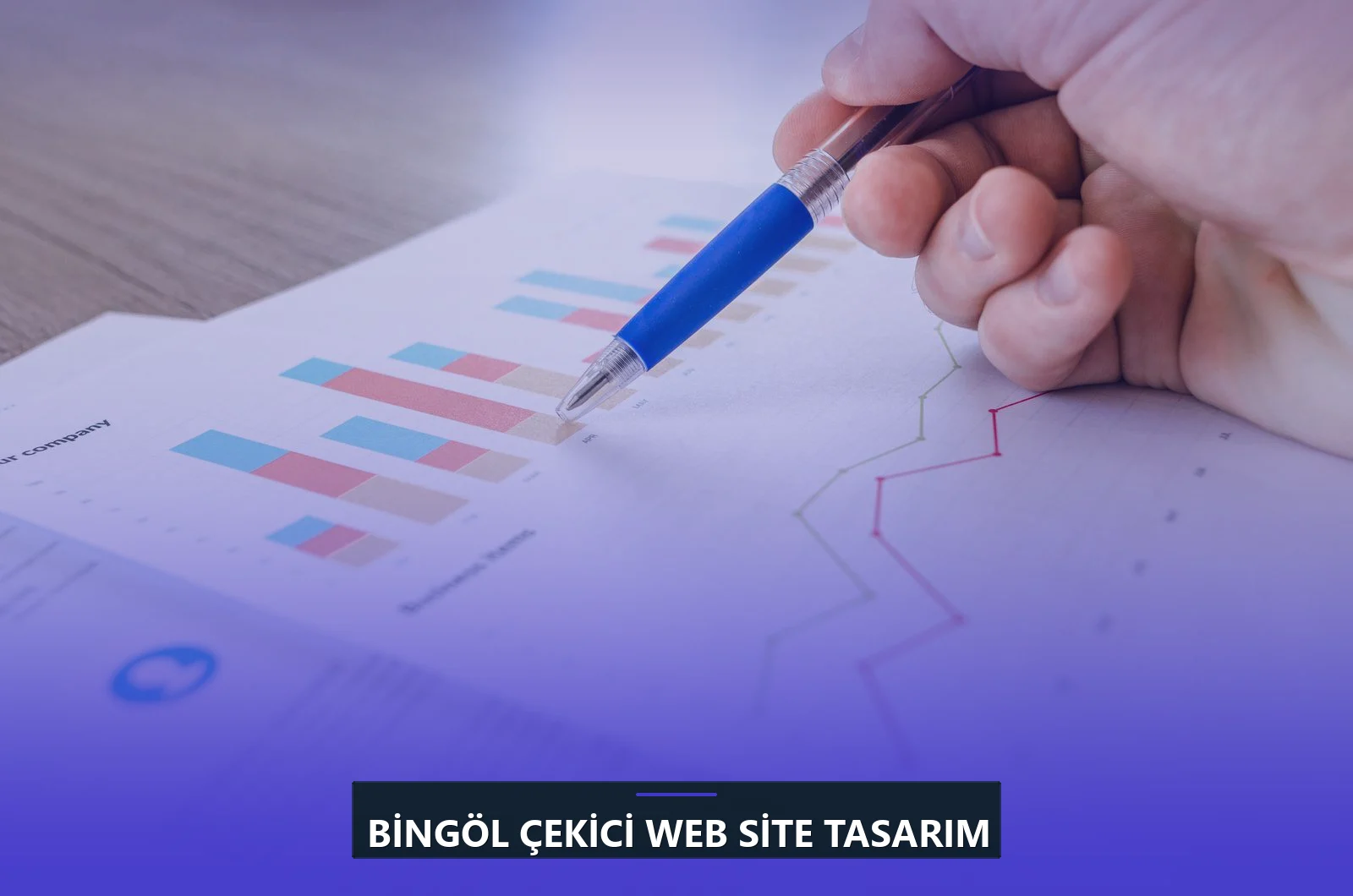 Bingöl Çekici Web Site Tasarım