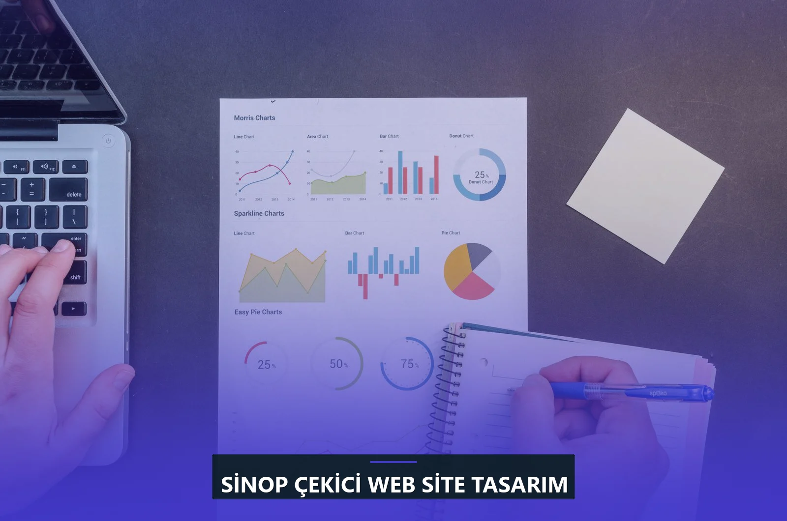 Sinop Çekici Web Site Tasarım